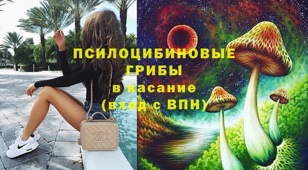 PSILOCYBIN Богородск