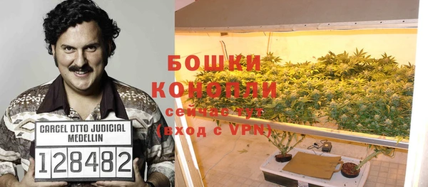 дживик Осташков