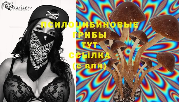 mix Осинники