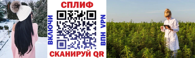 как найти закладки  Орлов  Канабис VHQ 